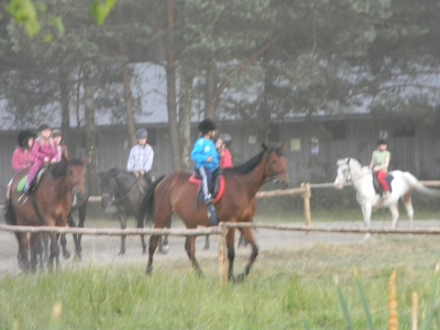 Lato 2010r Janów  Lubelski